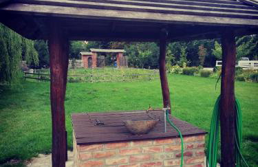 Babie Lato - Foto 34