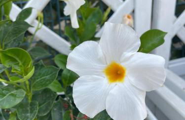 La Playa del Sol 2 - Foto 53