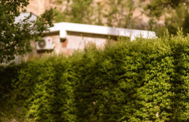 Bosque Divino Cabañas & Suites - Foto 48