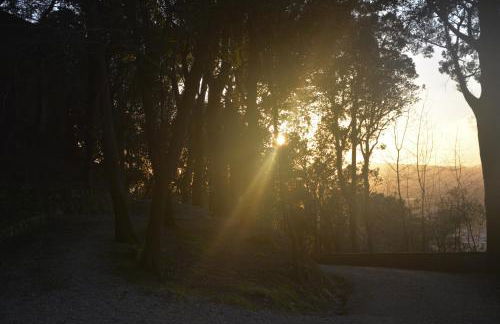 Appartamento al Castello - Photo 10