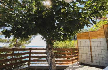 Cabanon moderne, les pieds dans l'eau, 2 chambres - Foto 18