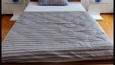 Green Home Mittenaar - Foto 4