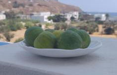 Drouga's Studios & Suites Astypalaia Greece - Foto 15