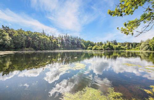 Shellrigg - Uk49891 - Foto 13