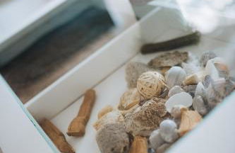 Rostocker Stadtidyll - Foto 11