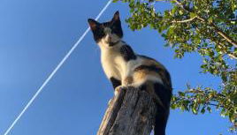 BeeHouse - La Casa delle Api Agriturismo - Foto 5