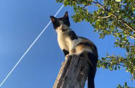 BeeHouse - La Casa delle Api Agriturismo - Photo 5