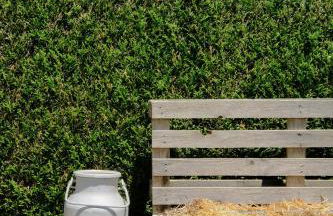 Ali'Home vue MontBlanc - T2 de charme - Foto 20