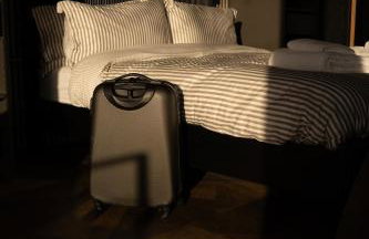 The Squirrel - Foto 13