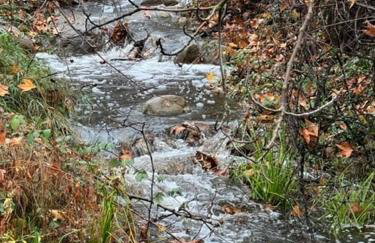 River Retreat near Sequoia National Park - Foto 29