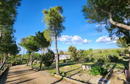 Agroturismo Viña Inés Toledo - Photo 60