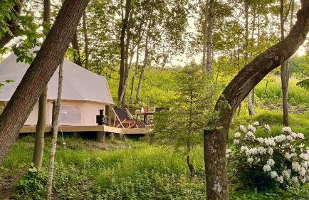 Turkusowa Wyspa - Foto 10