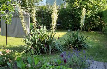 Apartament – 3 pokojowe dwupoziomowe mieszkanie z ogrodem - Foto 23