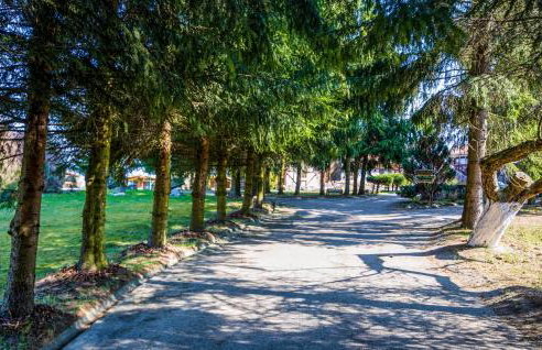 1 Bedroom Stunning Home In Wilczeta - Foto 20