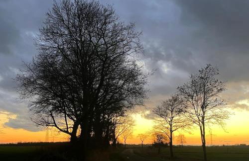 Ferienwohnung Lüttje Huuske - Foto 10