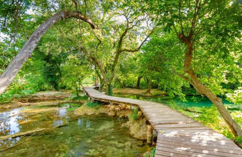 Galapagus privat beach & boat dock - Foto 54