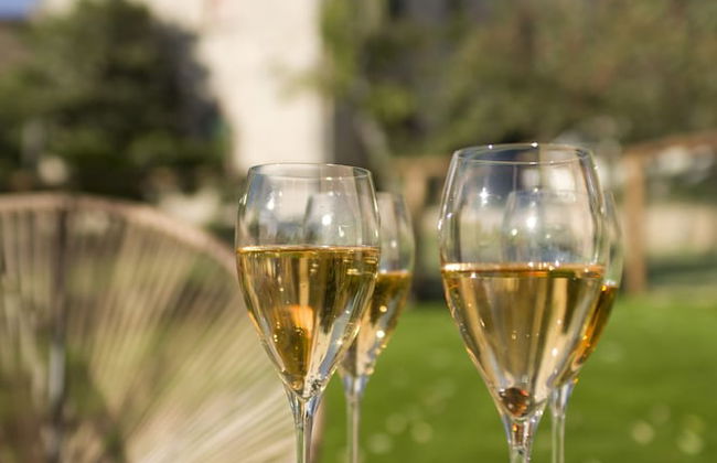 Agriturismo La Via dell'Oliviera - Foto 55