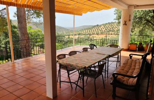 Casa Terra - Foto 22