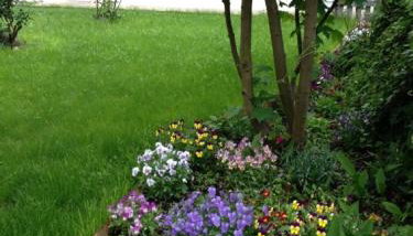 COMME chez VOUS - Foto 5