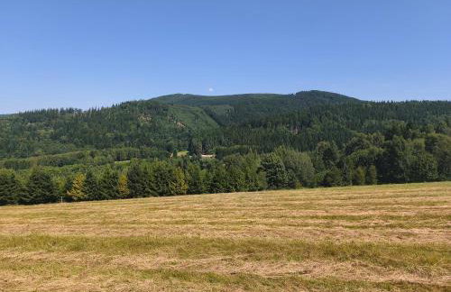 Górska Polana, Stronie Śląskie - Młynowiec - Foto 28