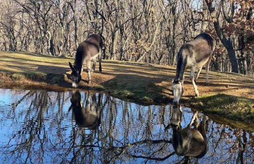 Apartamento Rural El Herrero, vistas espectaculare - Photo 11