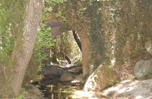 El rincón de Alájar - Foto 22