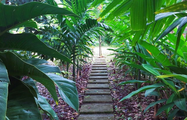 Baansuan Suksangob Farm Stay - Photo 55