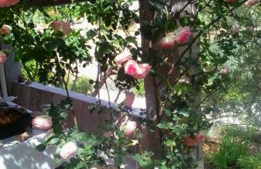 Getaway Beach House - Photo 29