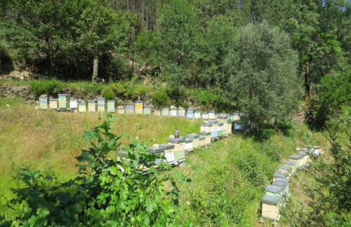 Quinta Machado Da Pedra Bela - Foto 22