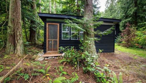 Guemes Island Road Modern Home - Foto 4