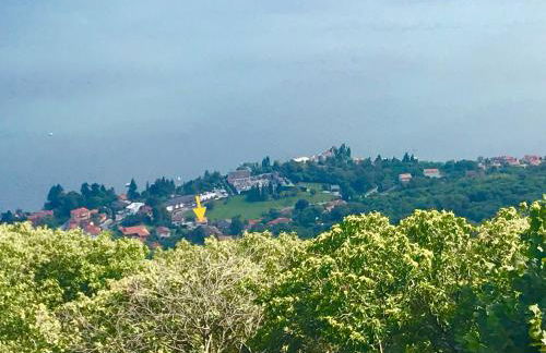 Le Betulle - Foto 50