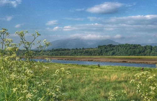 Shorepark - waterfront cottage with stunning views - Foto 12