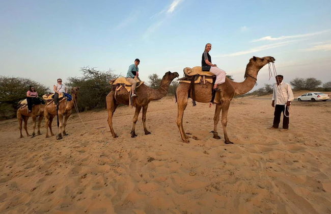 Nuit dans le désert de Thar - Photo 5