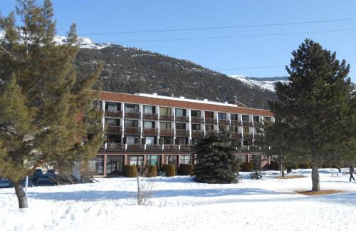 Aigle Noir - Photo 6