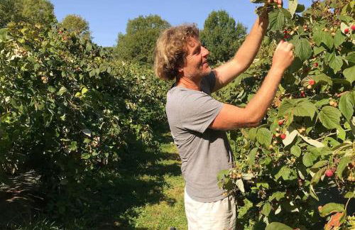 L’île aux fruits en Berry - Foto 17