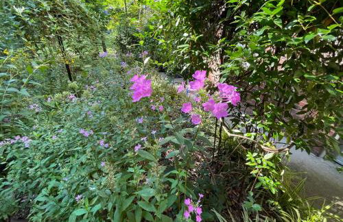 Mary's Place - Studio surrounded by nature but close to High Point - Photo 15