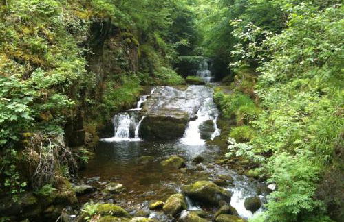 Springfield Linney - Foto 30