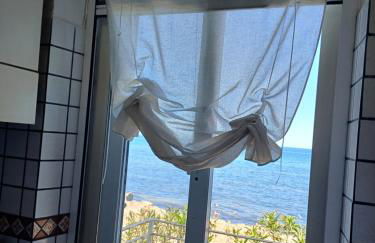 Le due conchiglie - Foto 11