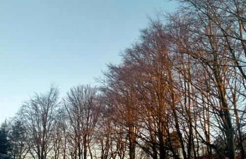 Garden Apartment Morpeth- with lockable bike storage! - Foto 11