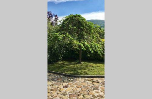 Casa Amalia - En el corazón verde de Cantabria!! - Foto 14