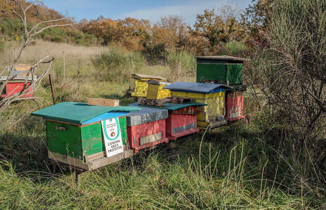 Il Capriccio del Papa - Photo 70