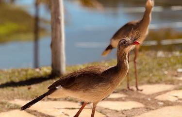 Lagamar Hotel Varginha - Foto 31