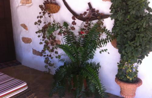 Casa Emblematica Abuelo Rafael - Foto 40