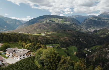 Plattnerhof Viums - Photo 79