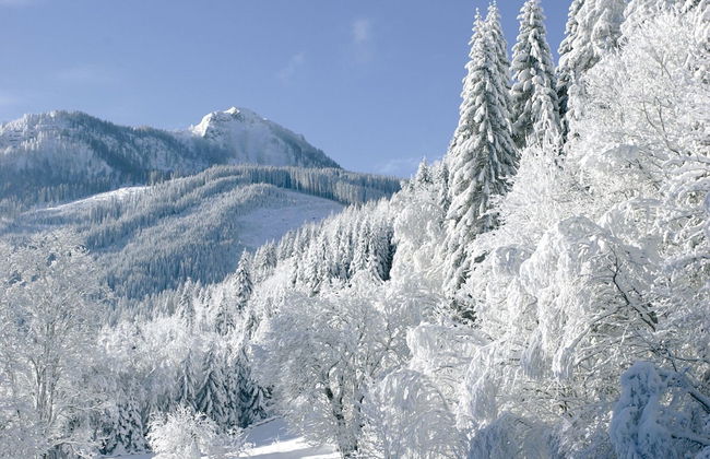 Apartment in Kleinarl Near Ski Slopes - Foto 36