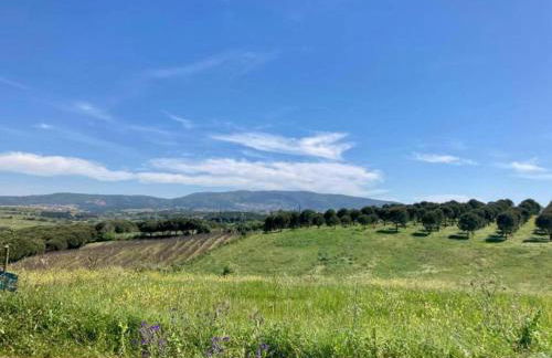 Villa in Casais de Santa Helena - Photo 39