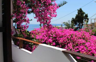 Garden House - Foto 61