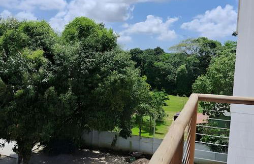 Bosque dos Camarás Panorâmico - Foto 49