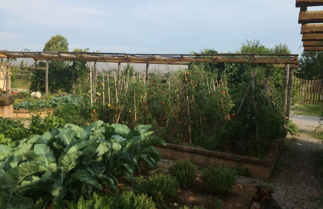 Corte Breda Agriturismo Bed & Breakfast - Foto 56