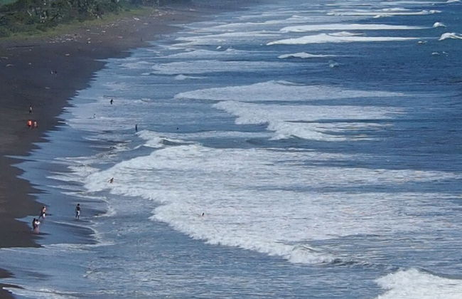 Opera Salvaje N.27 - Foto 20